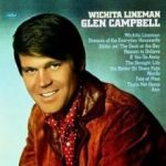 Wichita lineman